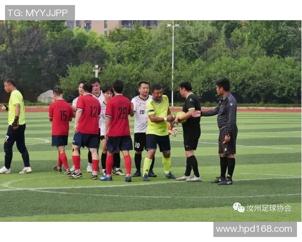 广州足球队的拼搏历程与荣耀时刻深度解析